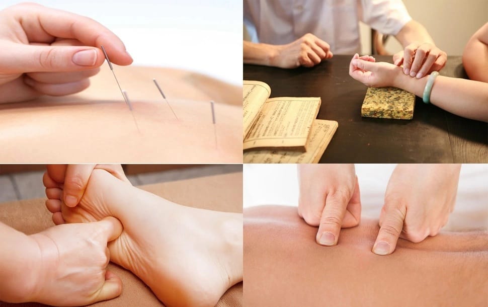 Nên Học Y Học Cổ Truyền Không